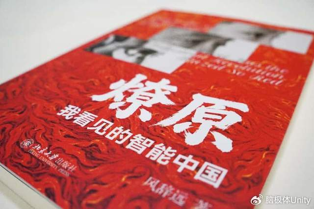 硅谷之外，中国AI《燎原》之火从何燃起？
